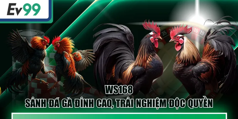 WS168